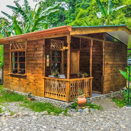 Vila U Sule Cahuita Exteriér fotografie
